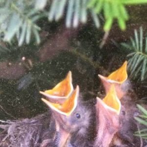 Meet your Posher, Jenny